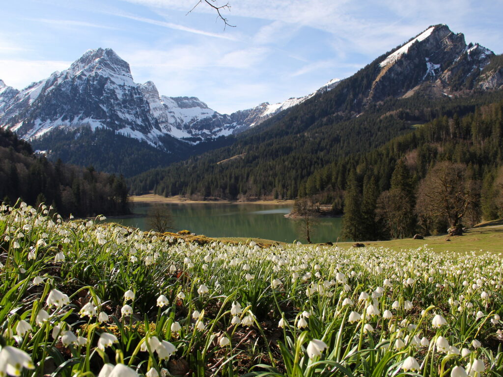 Susanne Hauser Obersee 19. Mä