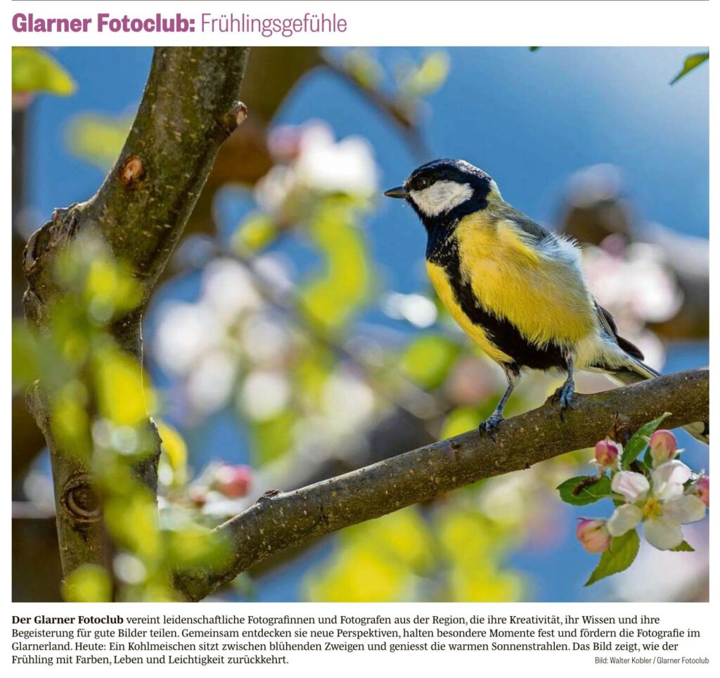 Bild der Woche 10 40 26peg